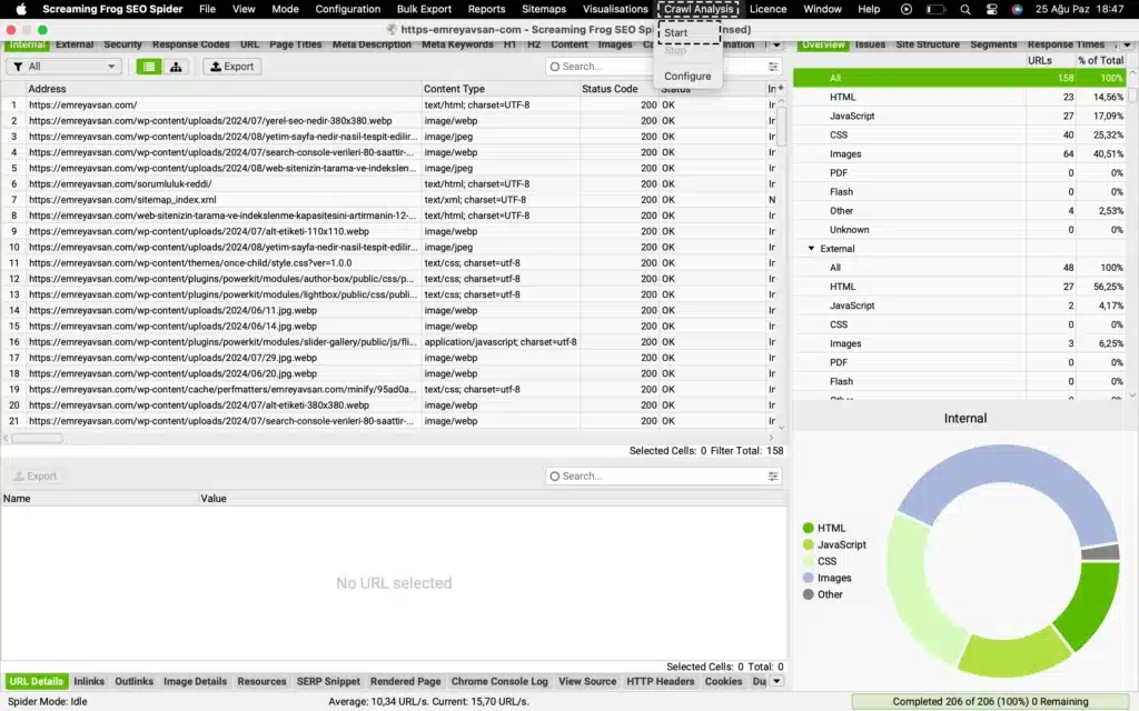 Screaming Frog Tarama Analizi